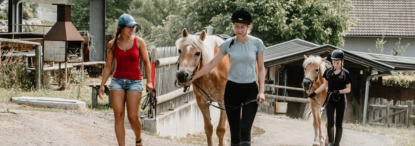 Schulsportwochen - Reiten